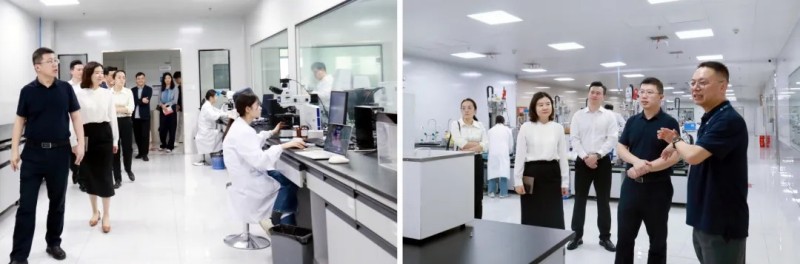 省衛(wèi)健委醫(yī)學科技發(fā)展中心主任雷軍帶隊調(diào)研晶易醫(yī)藥