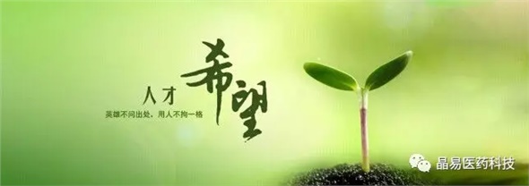 晶易醫(yī)藥獲評(píng)就業(yè)見習(xí)基地與研究生培養(yǎng)創(chuàng)新基地，構(gòu)筑人才發(fā)展新臺(tái)階